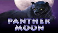 игровые автоматы Panther Moon.