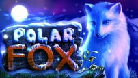 полярная лиса игровые автоматы Игровой автомат Polar fox.